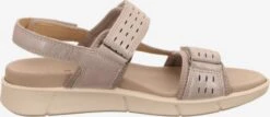 Legero Sandalen & Slippers Sandaal Dames Oudroze 10 Legero Sandalen & Slippers Sandaal Dames Oudroze -Legero Verkoopwinkel 5f257a846bc5763cd8f838913ef06482
